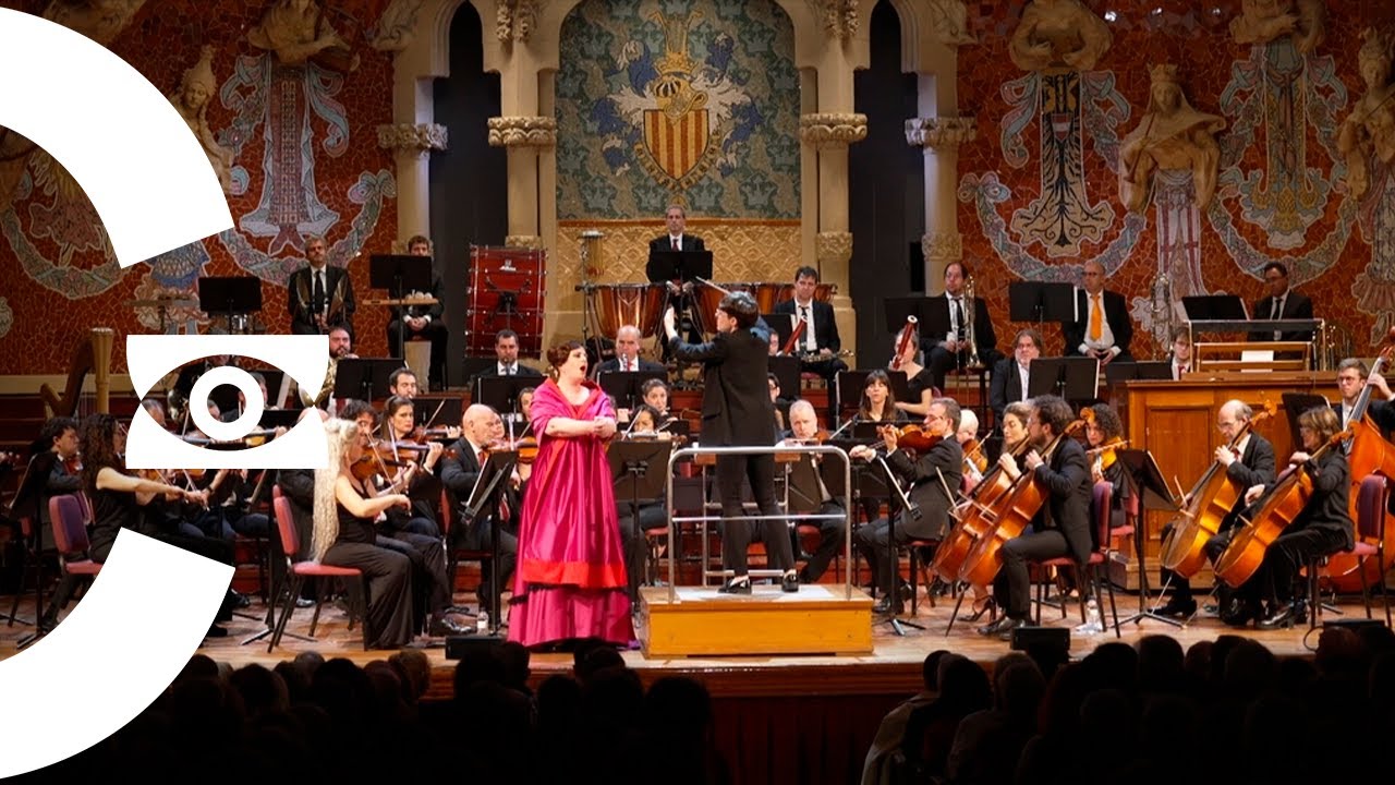 Qui vol dirigir una orquestra?