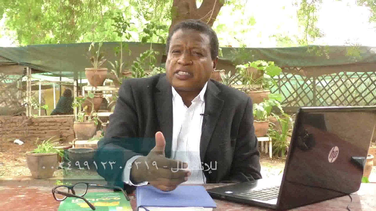 برنامج سنابل .... يمكنك الاستثمار في زراعة القطن بالسودان وتحقق ارباحا هائلة
