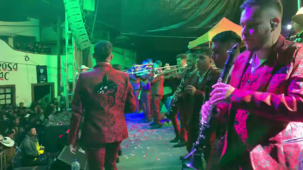 Banda la suprema del tiburón- Juana la cubana y la cara sucia