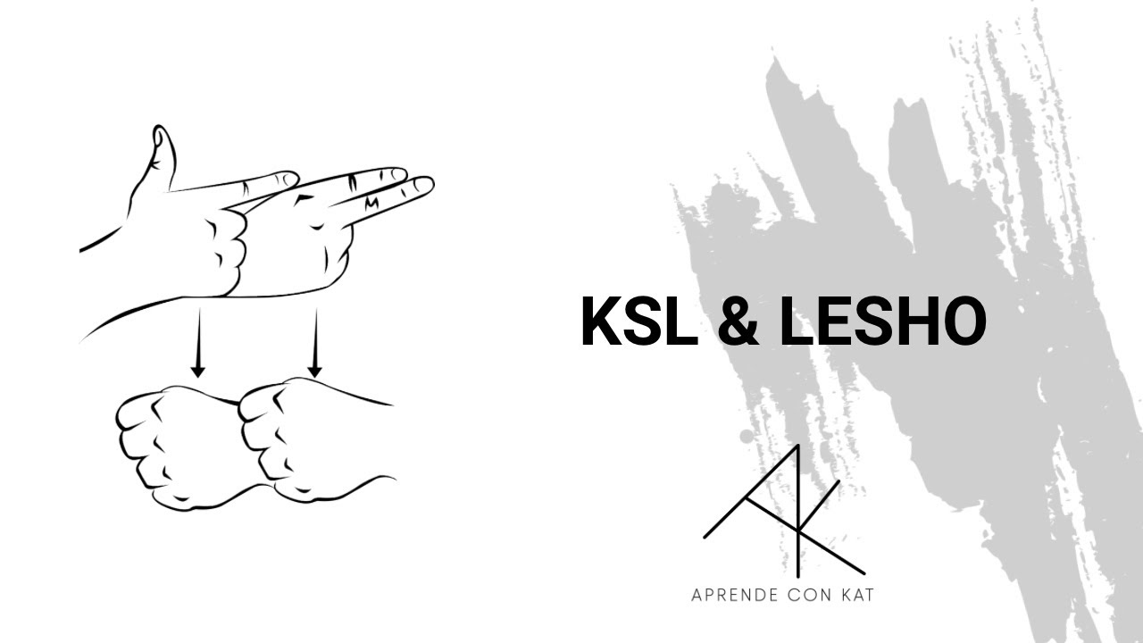 Korean Sing Language (KSL) and Lengua de Señas Hondureña (LESHO)