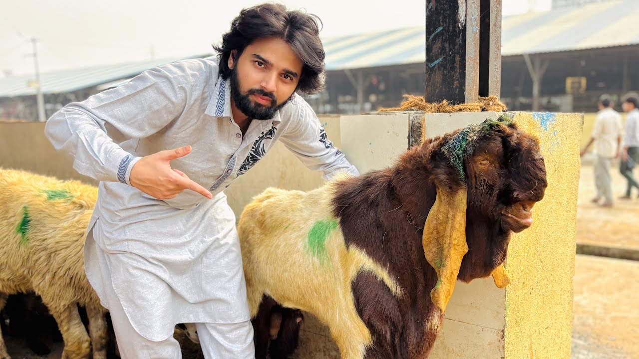 DEONAR BAKRA MANDI SATURDAY LATEST UPDATE 3 January 2026 FULL MANDI TOUR OF 2026