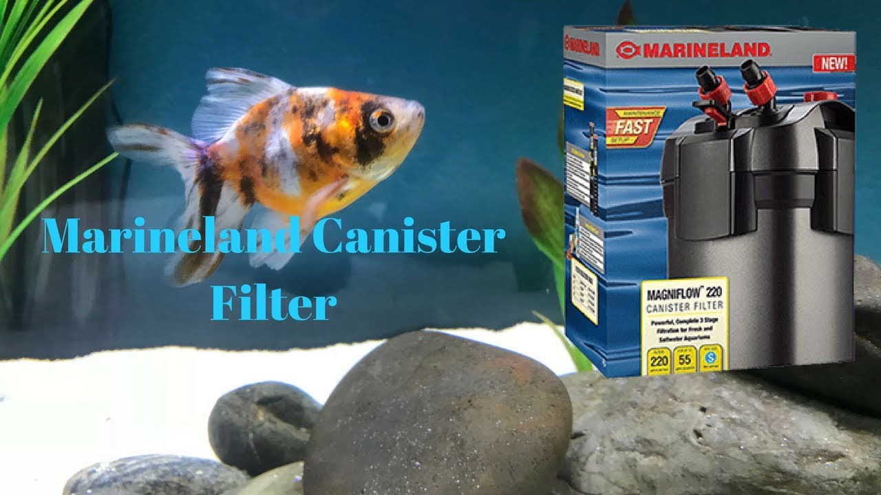 Cleaning the Marineland Canister Filter
