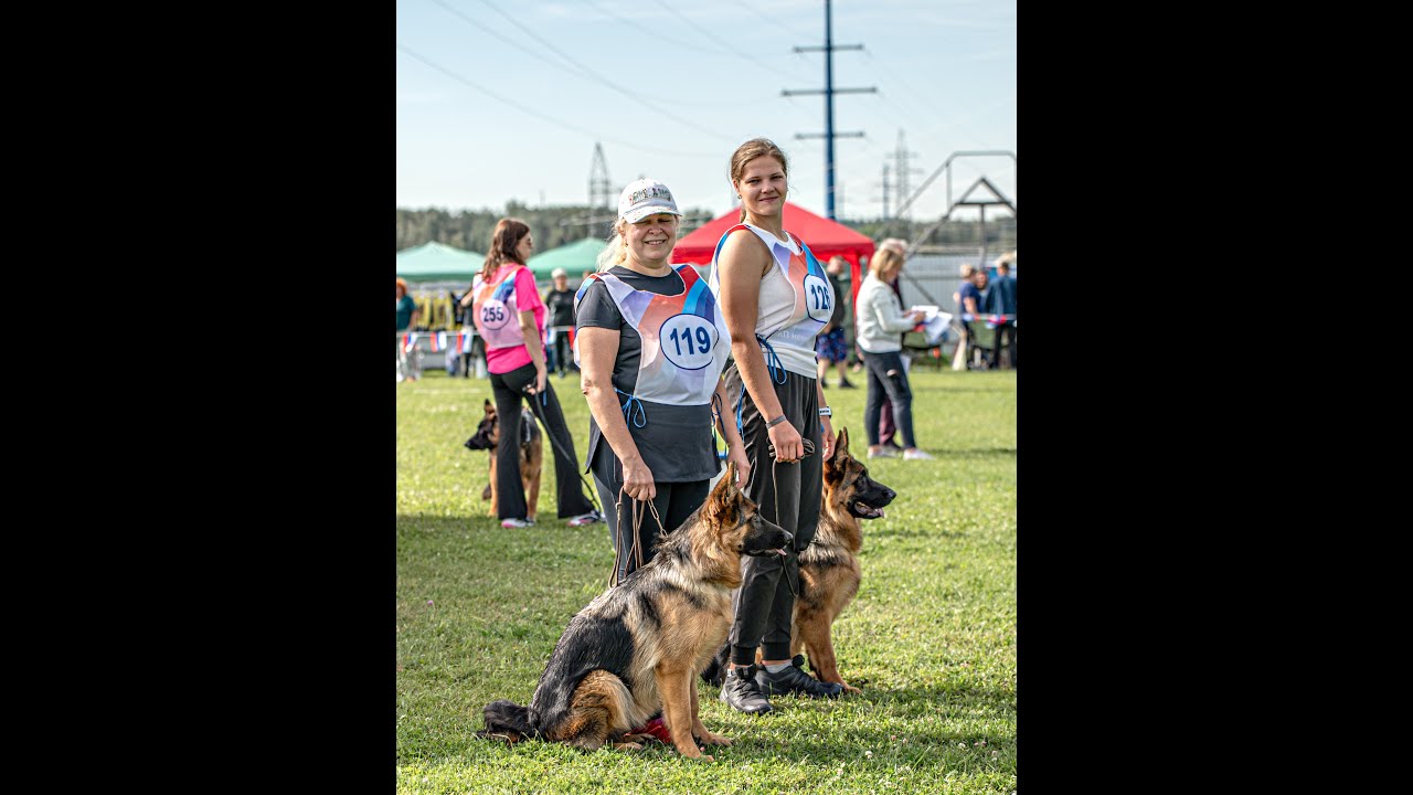 Puppy Class/females — Russian Siegerschau 2025: Ziben Vind Roni–Lirika, VV9 of 21 (#119)