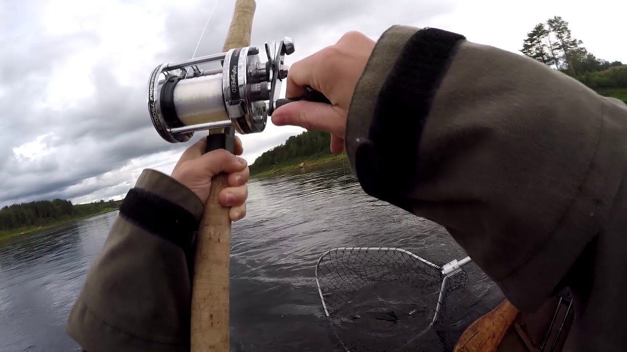 Tornionjoki lohenkalastus 2018