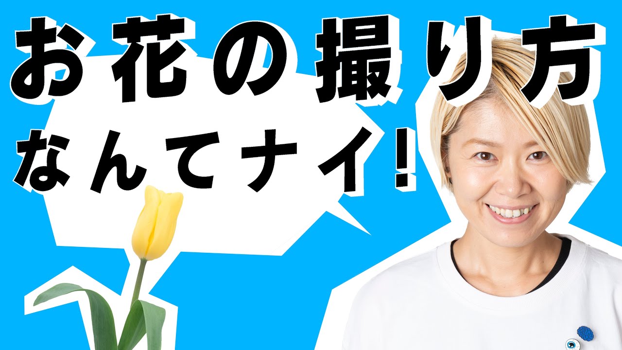 【写真講座】撮り方なんてナイ！カメラの設定を調べる前に_vol.1
