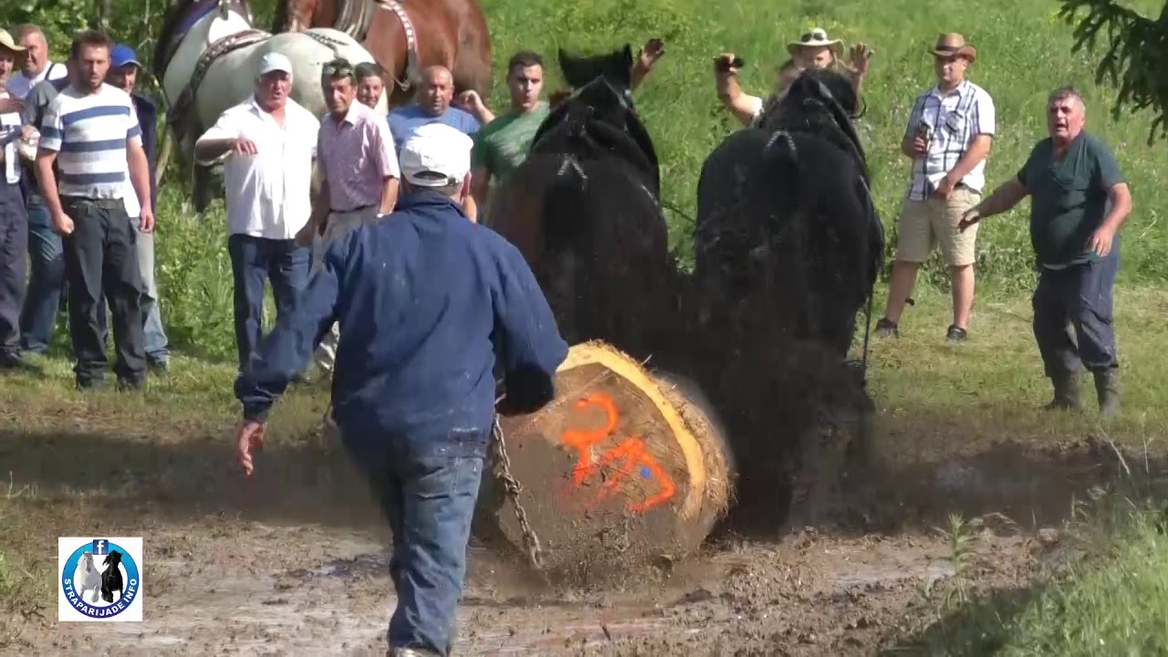 -Teški parovi u Driniću i treća pobjeda Tarzana i Herkulesa -2018