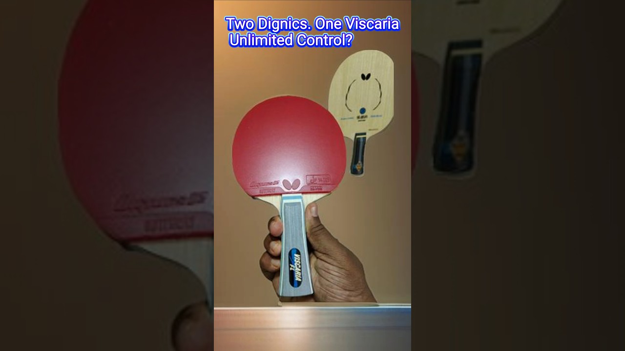 Viscaria + Dignics Combo: Control Meets Power Pro TT Setup