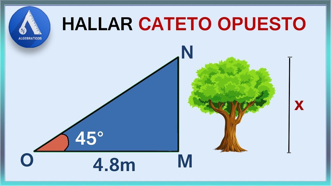 HALLAR CATETO OPUESTO | Funciones Trigonométricas