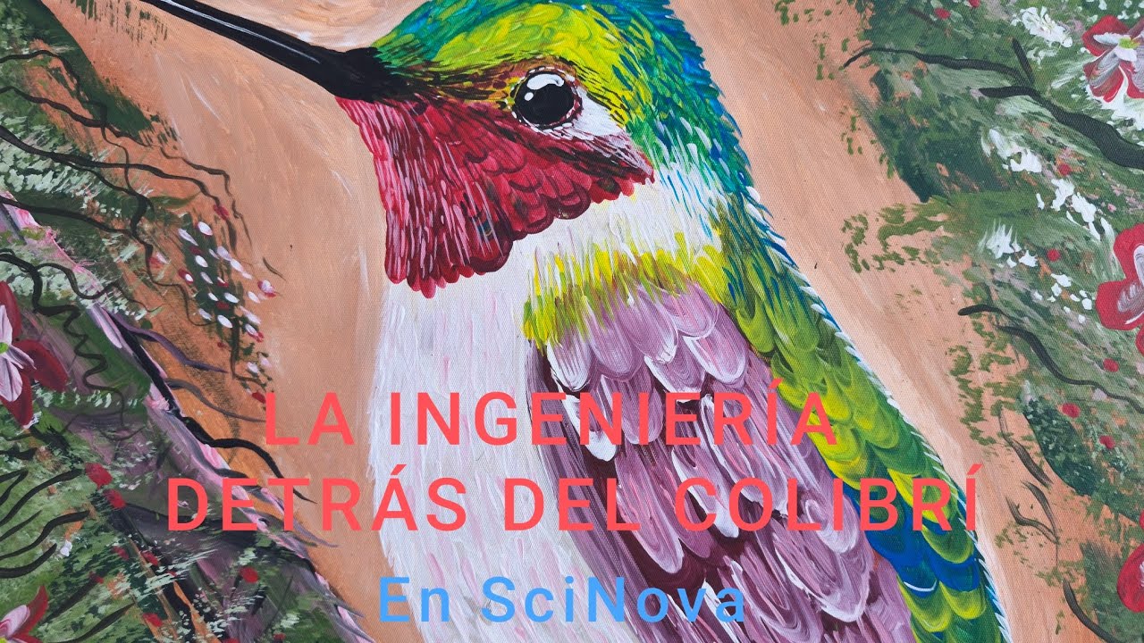 ​La ingeniería del Colibrí: 1,200 latidos por minuto 🔬🎨