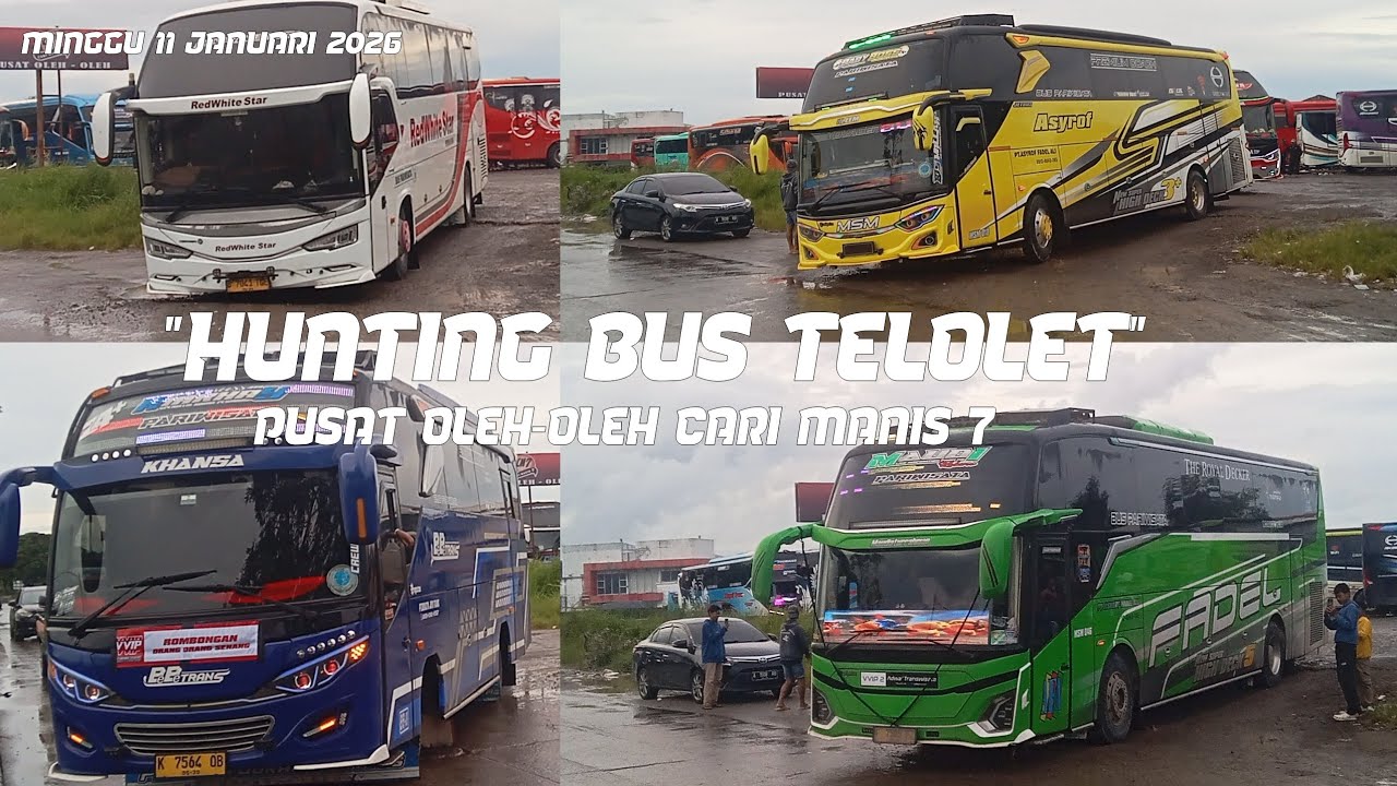 HUNTING BUS DI PUSAT OLEH OLEH CARI MANIS 7 BANYAK BUS ARTIS 🥳🤩