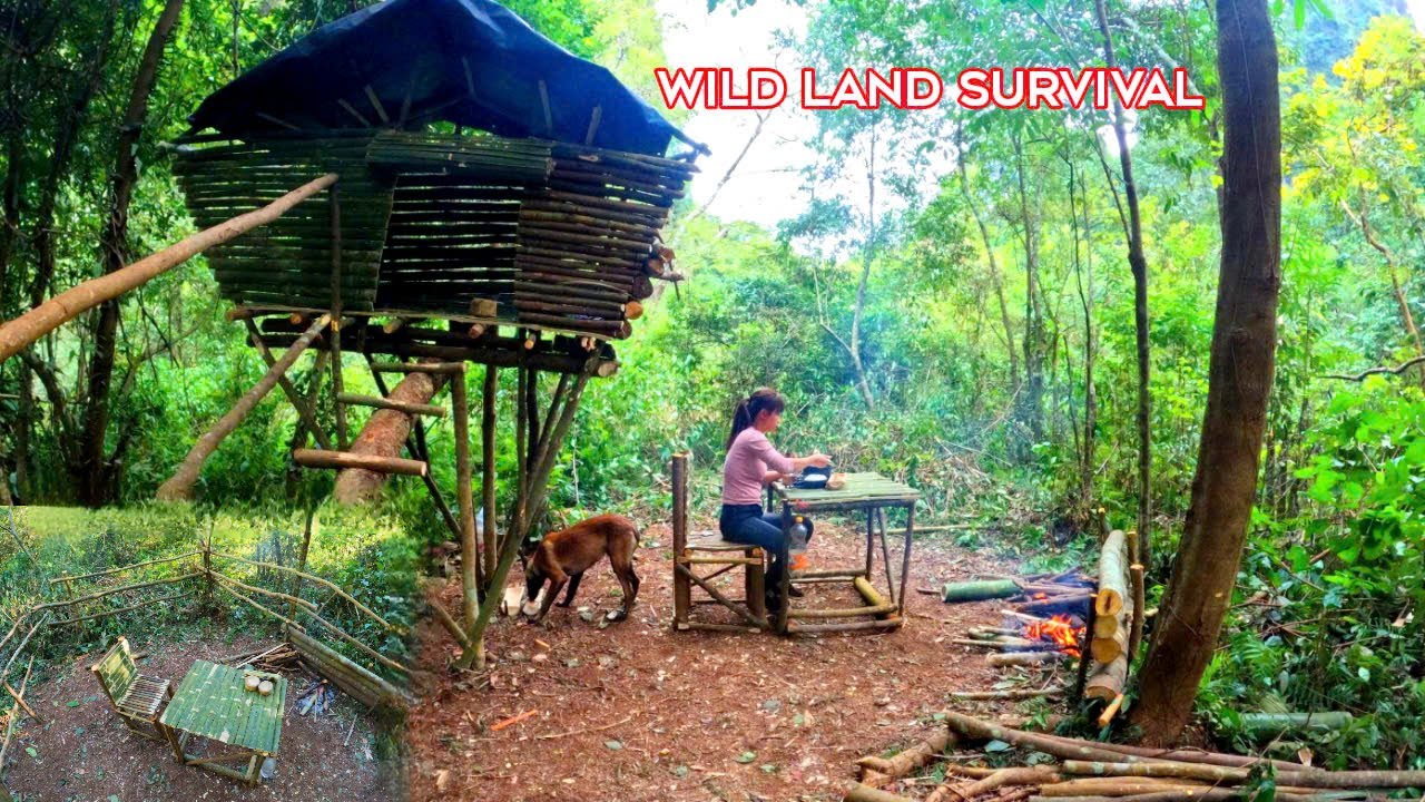 3 days of building a survival tree house in the forest