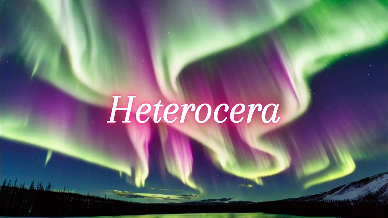 Heterocera, Relaxing Music Instrumental Music Chillout Music Beautiful Music