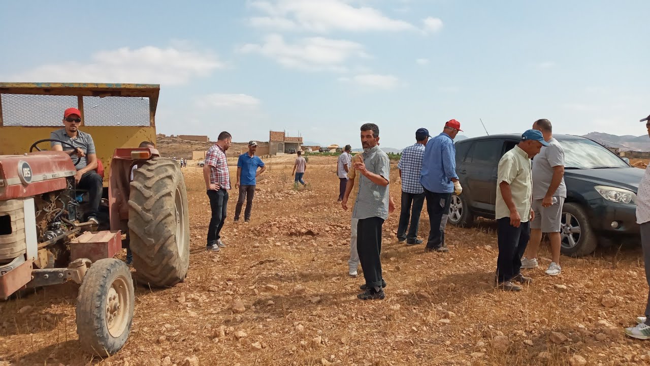 مباشر من بوزريب شمواررا بني سيدال لوطا