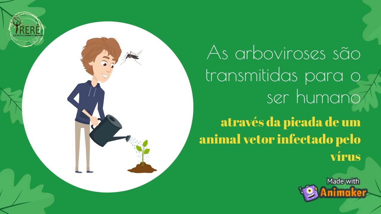 DENGUE, CHIKUNGUNYA E ZIKA: CONHE&Ccedil;A AS ARBOVIROSES!