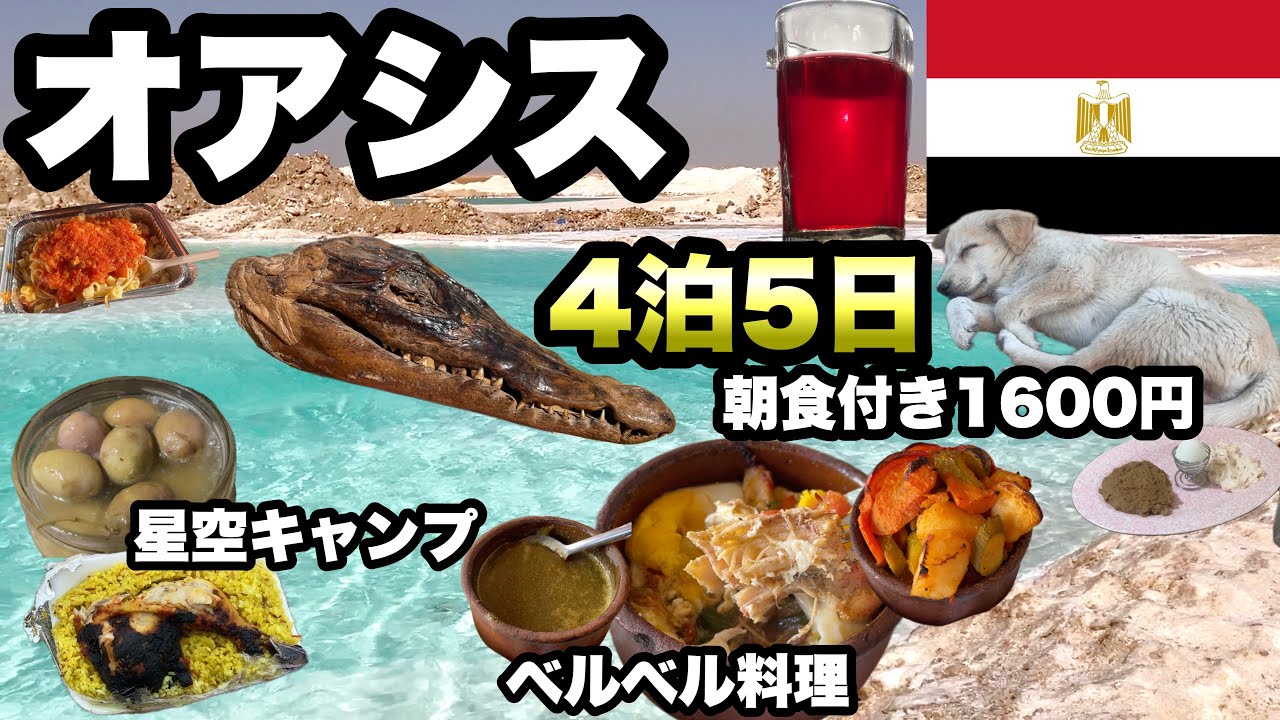 【エジプトの秘境】シワオアシスとB級グルメ/ サハラ砂漠のツアー/ 塩湖でピクルス体験/ オワシスに住むエジプト人はウザくなかった