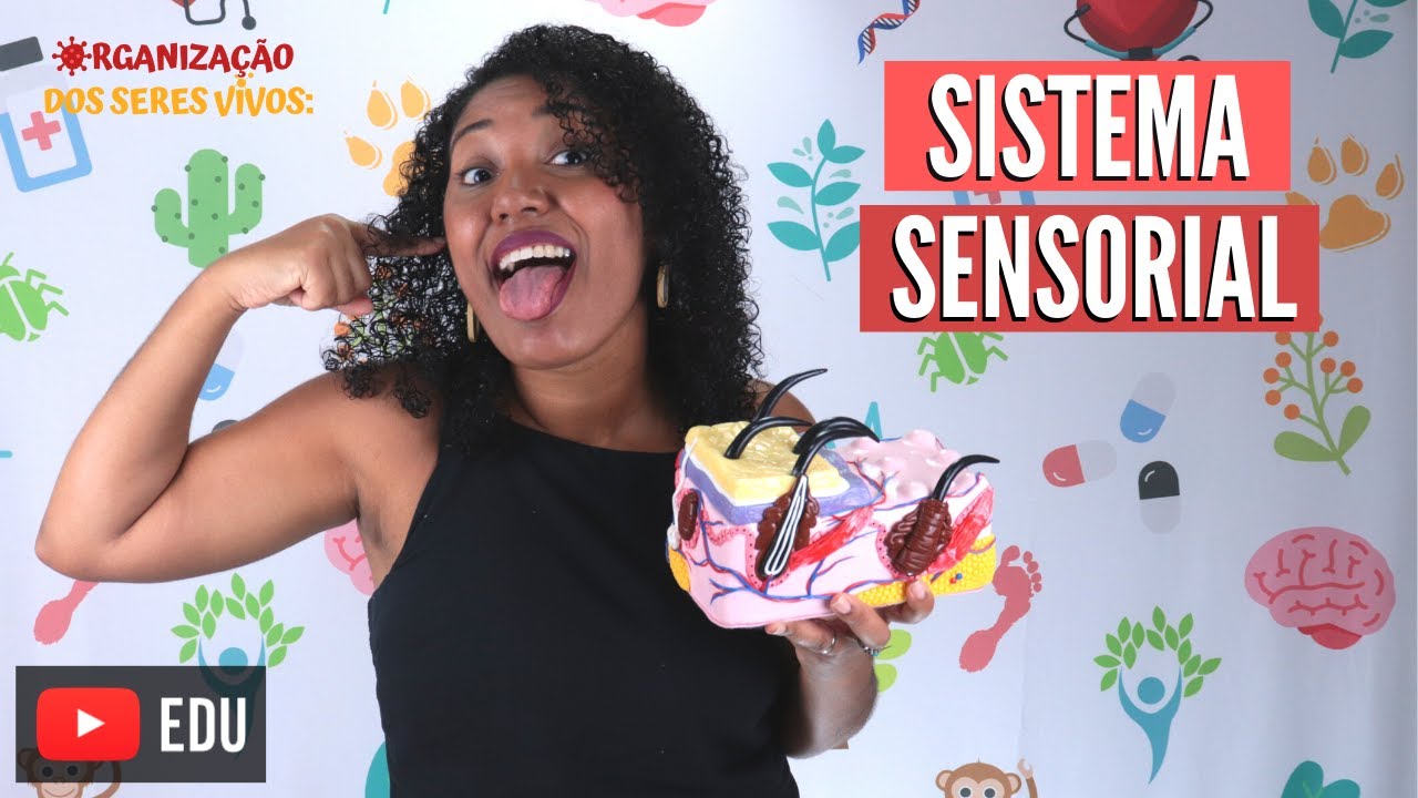 Sistema sensorial ou Sentidos Ep.12