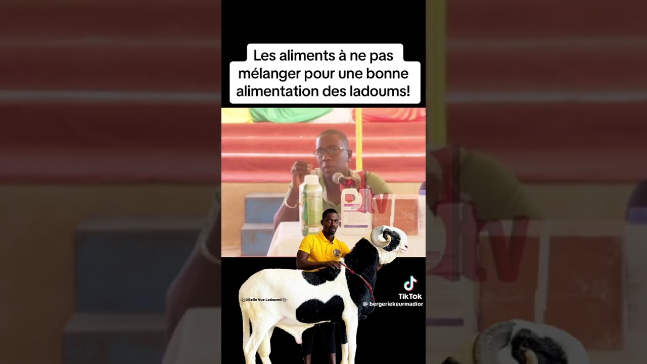 Le secret d&rsquo;une bonne alimentation Ladoum : ne m&eacute;langez jamais ces aliments #goat #ladoum #animals 