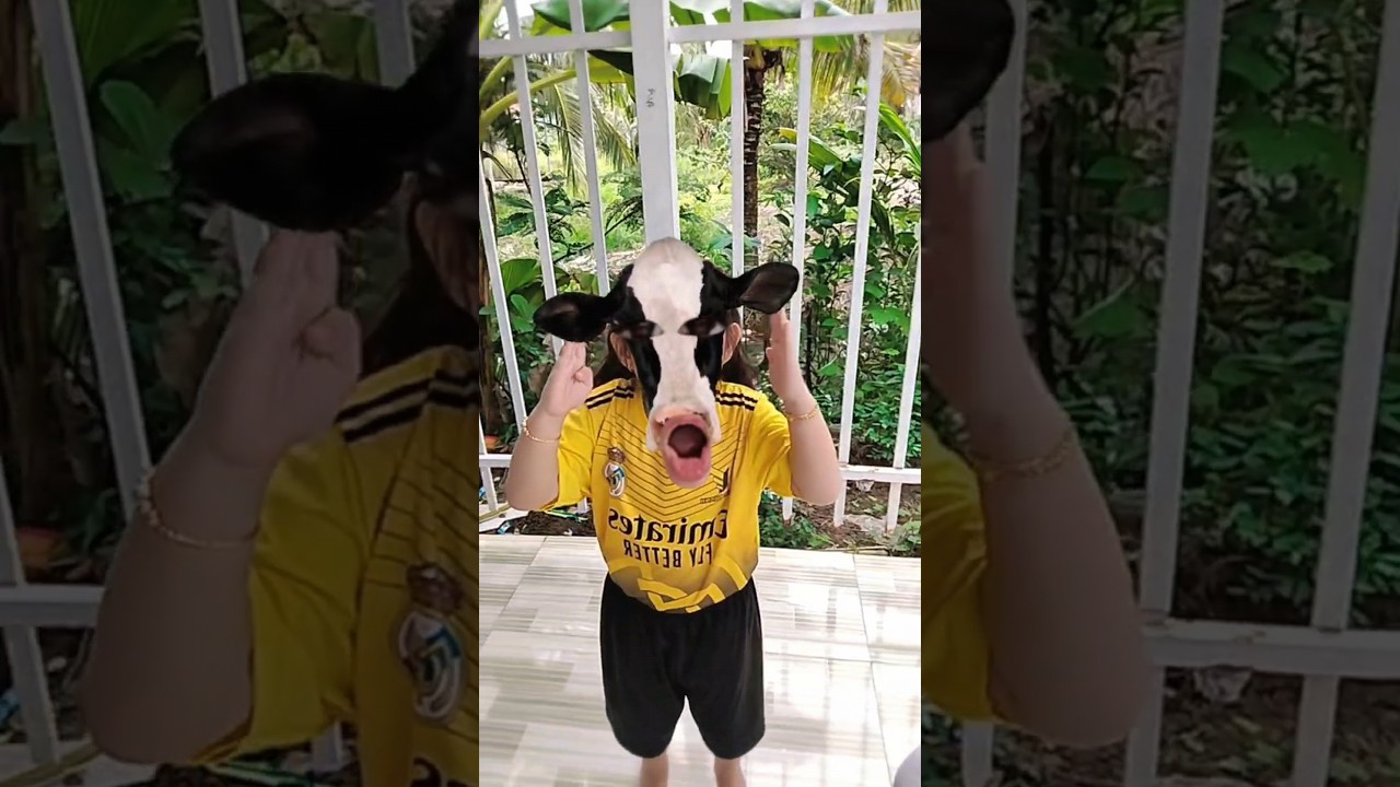 Giả tiếng ch&uacute; b&ograve; k&ecirc;u v&agrave; c&aacute;i kết #shorts #trending #viral
