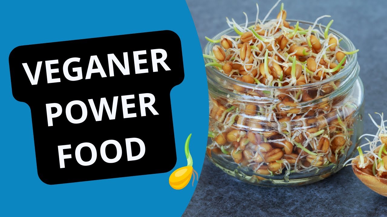 Vegan UND gesund: Energie Food Getreide einfach selbst keimen - Schritt-für-Schritt-Anleitung