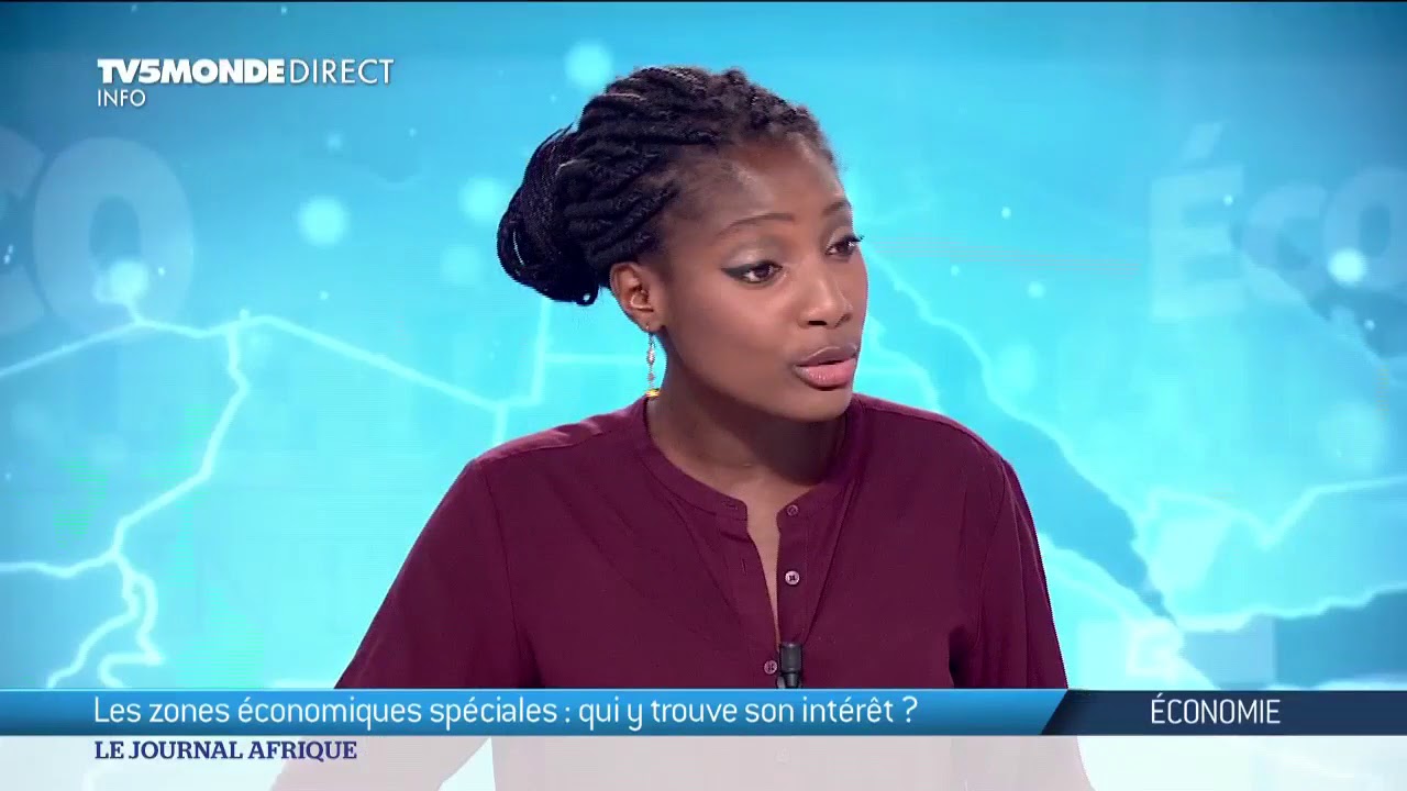 Economie : zoom sur les ZES, les Zones Économiques Spéciales