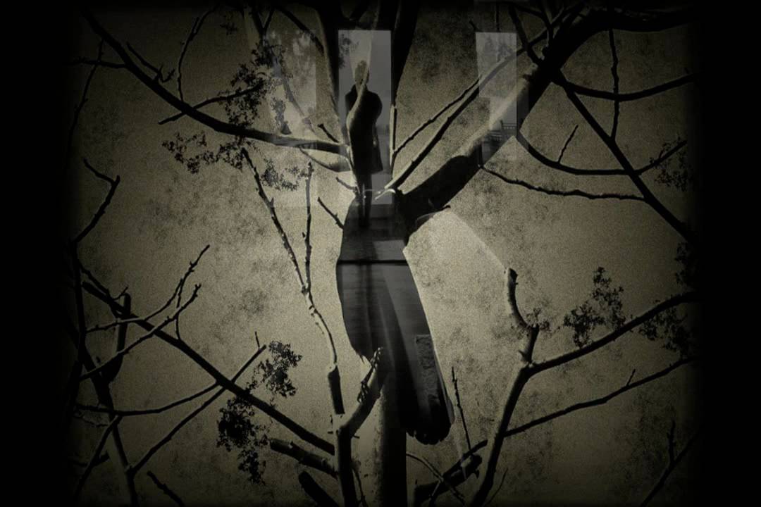 Jojo Effect - Not With Me