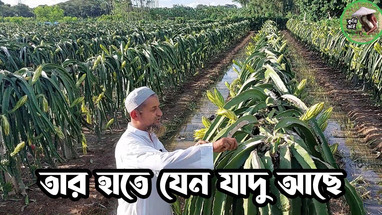 তার হাতে যেন যাদু আছে! কৃষি ভাই।