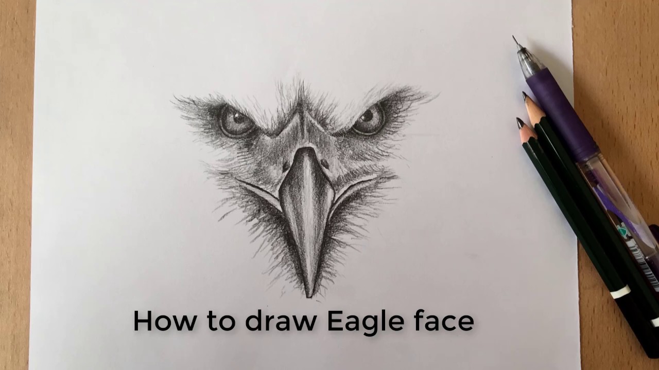 How to draw Eagle face step by step | Eagle face drawing for beginners
