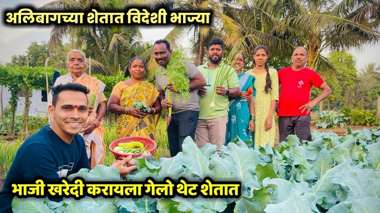 🥦अलिबागच्या शेतात पिकू लागल्या विदेशी भाज्या🥦घराच्या बाजूची विनू अप्पांची शेती◆Farming◆Samresh Vlogs