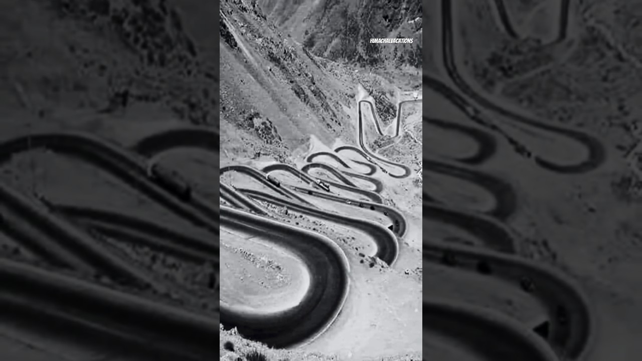 Gata Loops Ghost #leh #gataloops #ghost