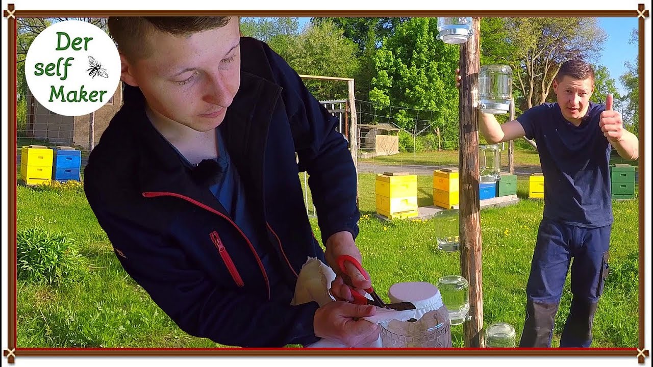 Bienentränke selber bauen/ Bienen brauchen Wasser/ Wasserstelle bei den Bienen
