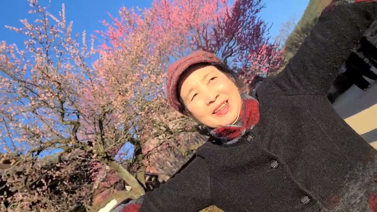 해운대뽀뽀통닭  26 3 7  통도사