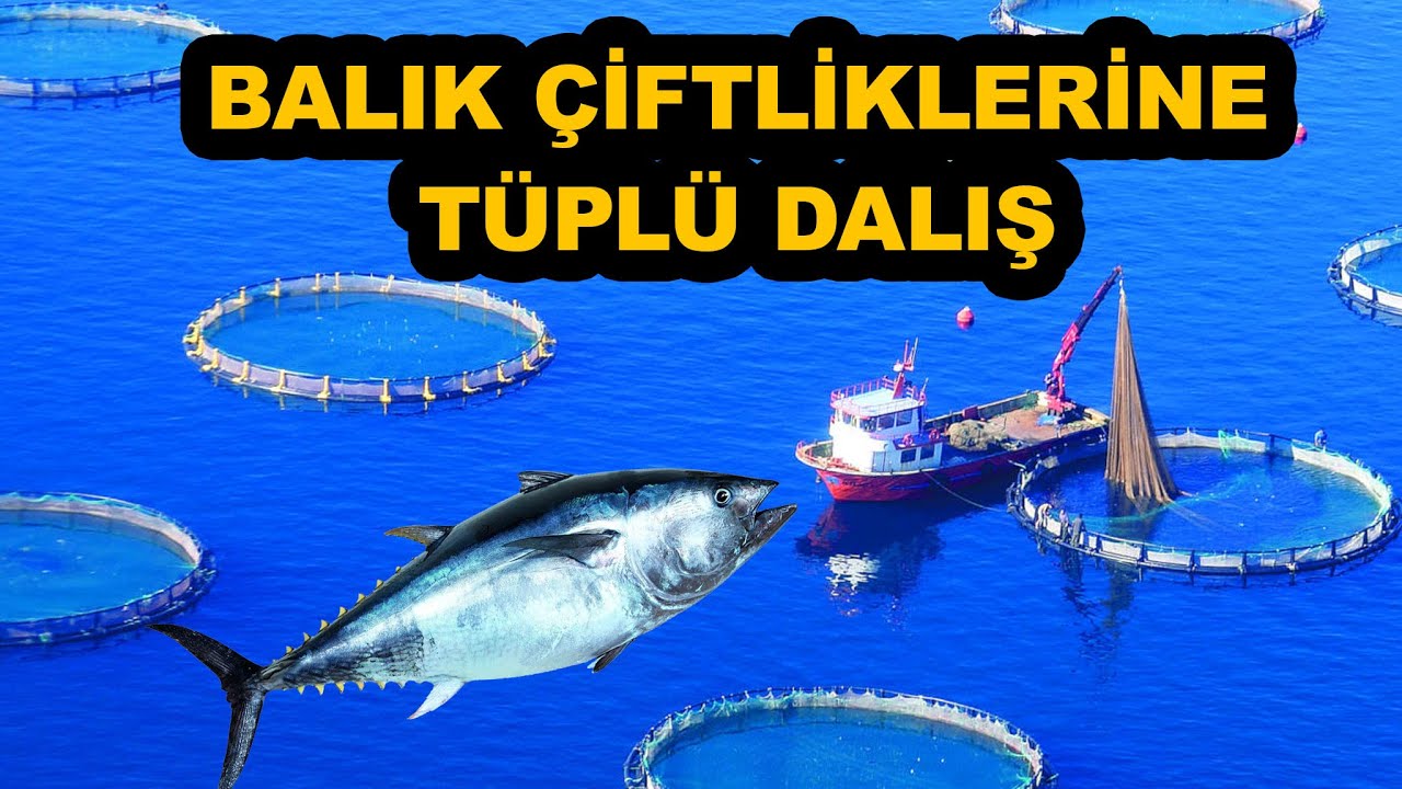 LEVREK ÇUPRA ORKİNOS ÇİFTLİKLERİ
