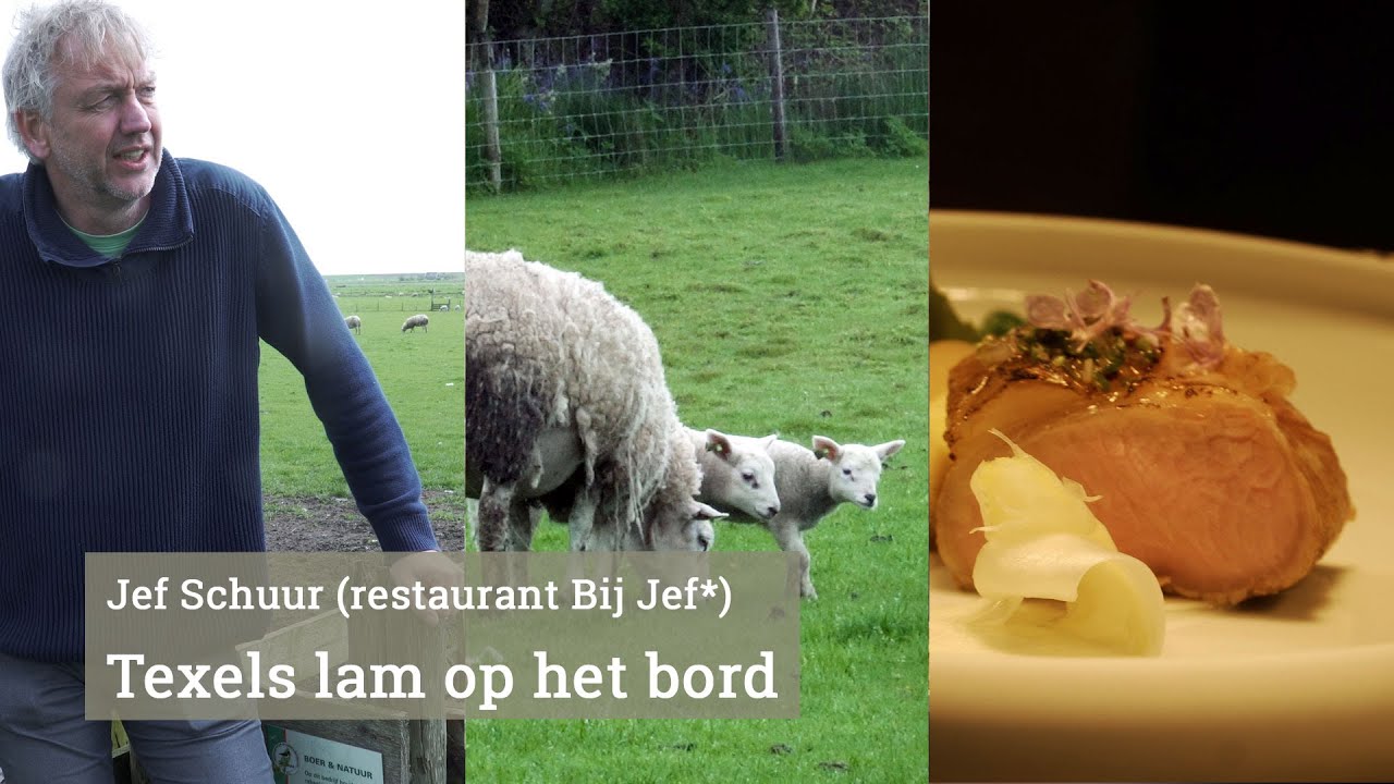 Jef Schuur & het Texels lam