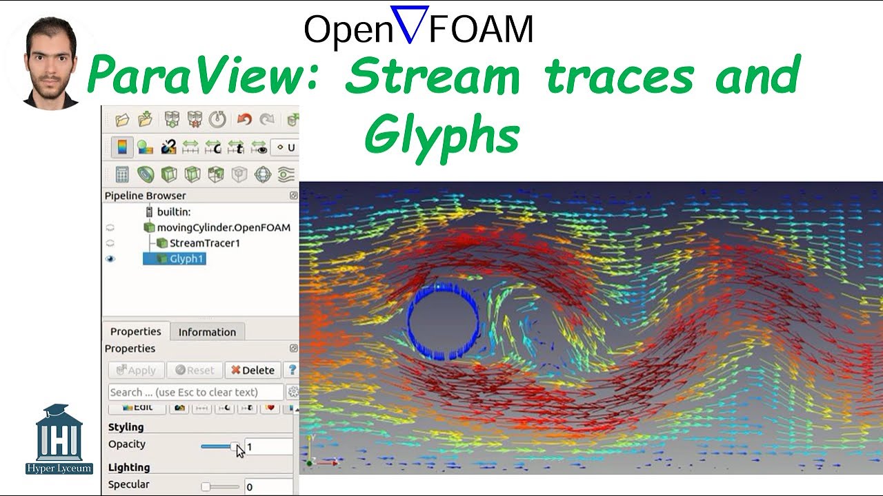 ParaView: Stream traces and Glyphs