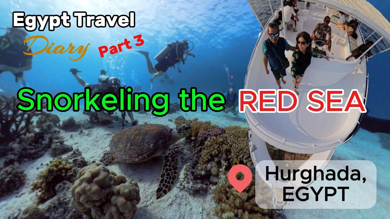 Snorkeling the RED SEA! Hurghada Egypt Tour