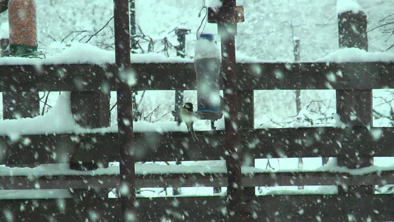 2015.01.29.  Intenz&iacute;v havaz&aacute;s - Intensiv Snowfall 15 cm