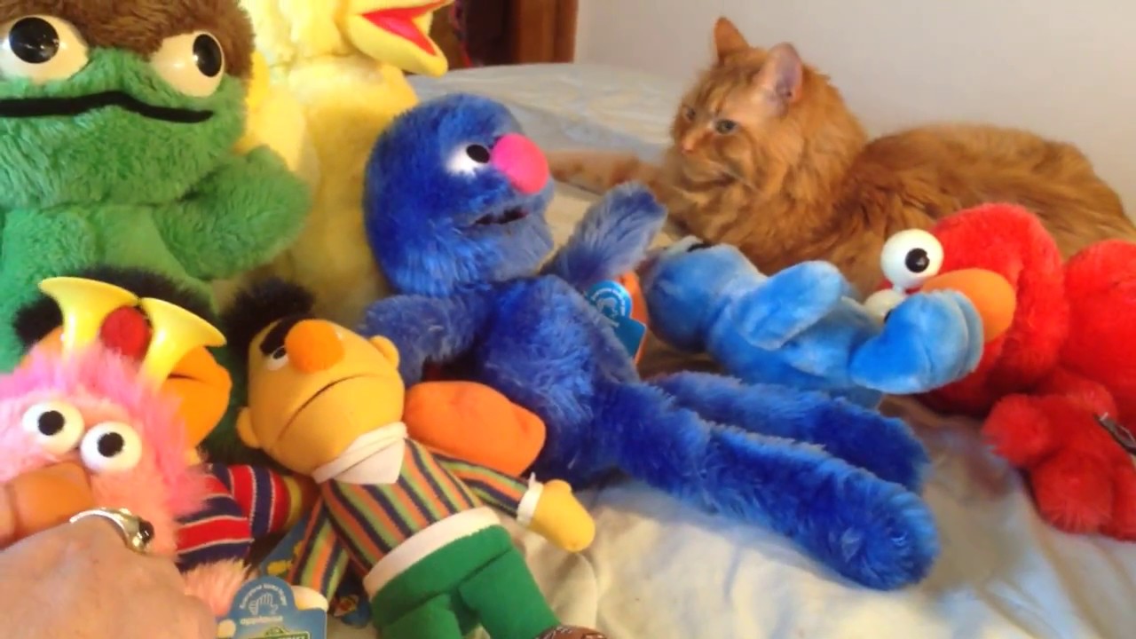 Sesame street toy collection