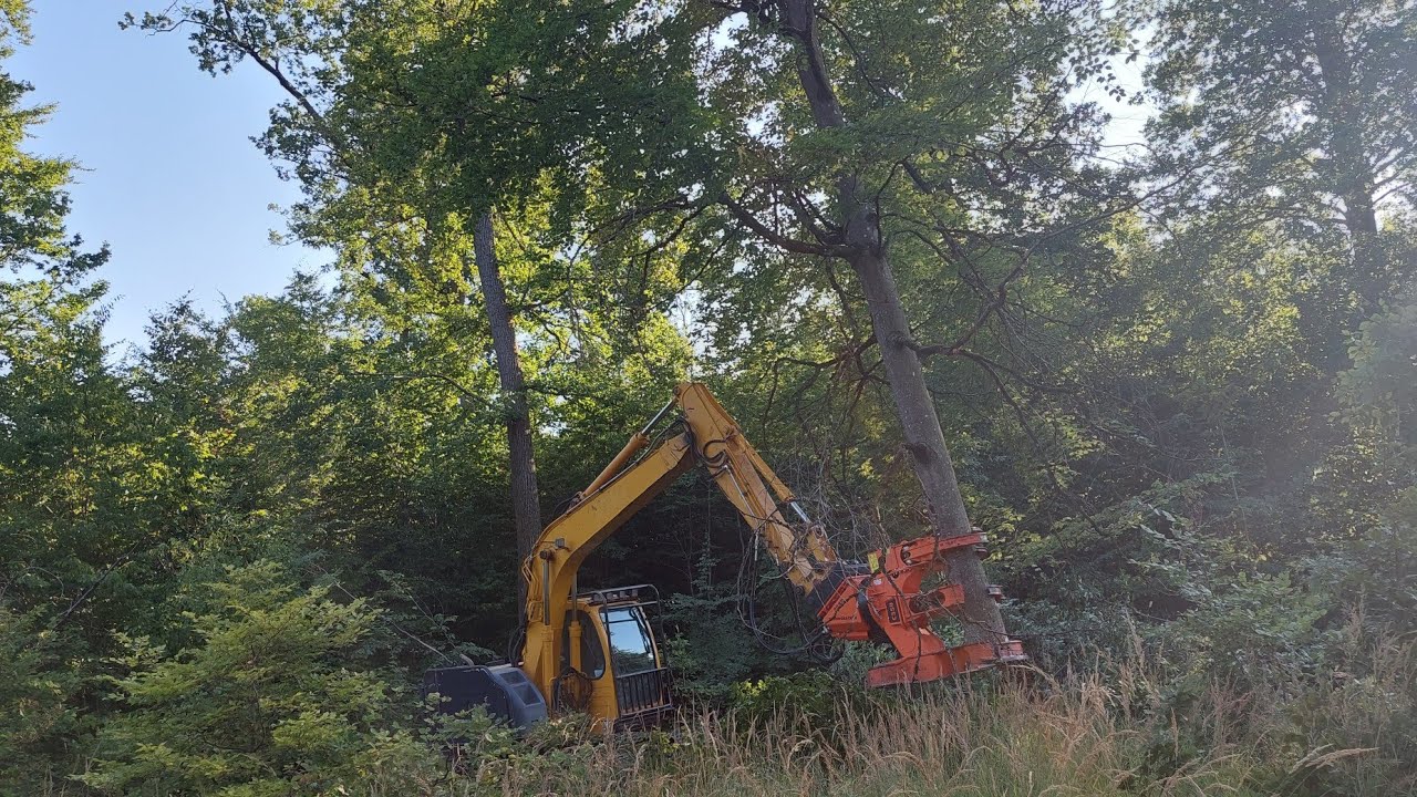 🌳🌳Westtech Woodcracker C350/Bois énergie/Kobelco SK-135-SR/Cisaille forestière🌳🌳