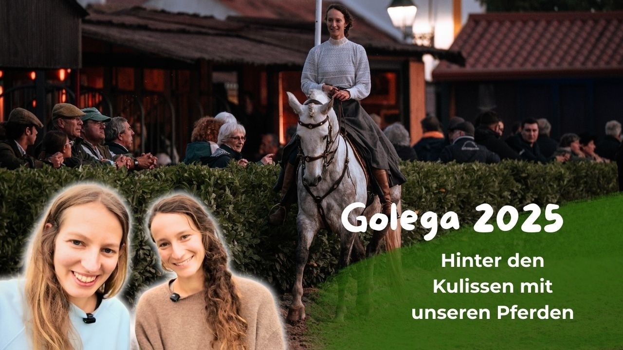 Pferdemesse in Portugal | hier gehts ab! [Golega 2025]