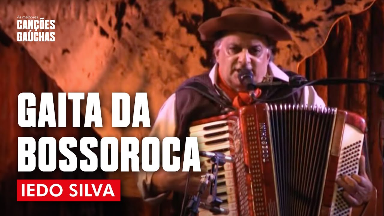 GAITA DA BOSSOROCA - IEDO SILVA (AO VIVO - SHOW DVD)
