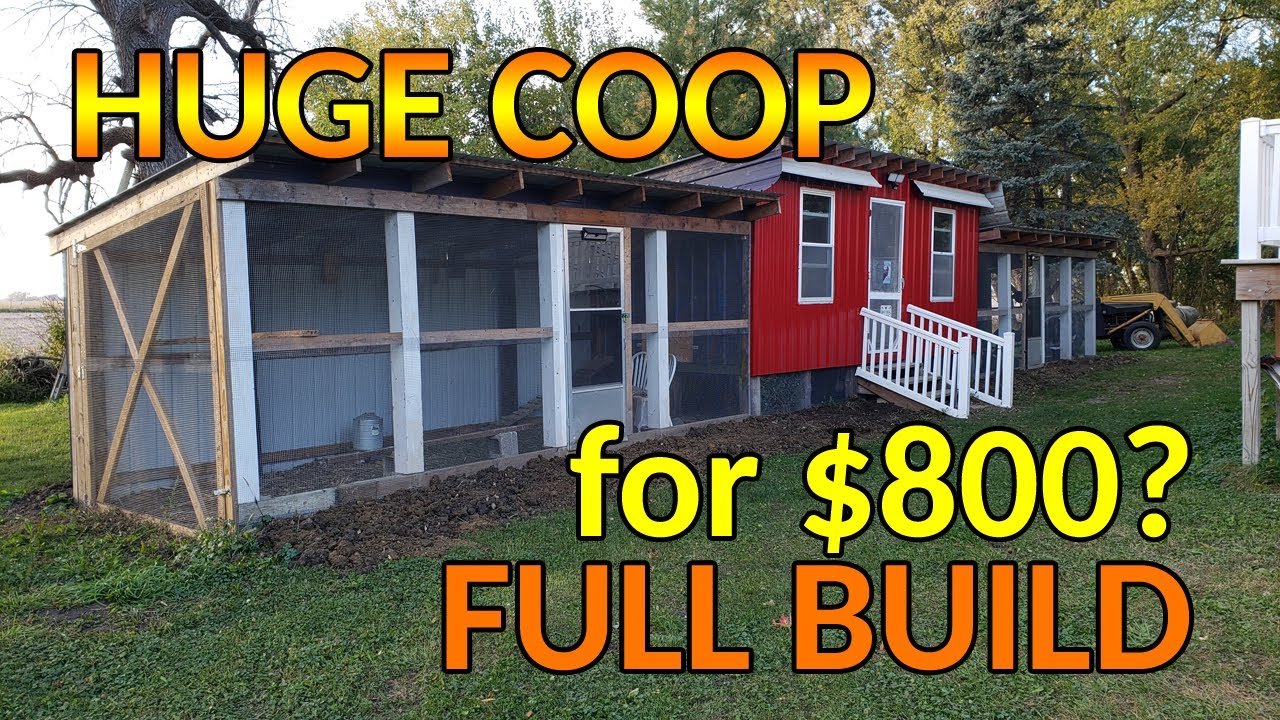 DIY Chicken Coop Build - FULL BUILD - 95% Recycled Materials
