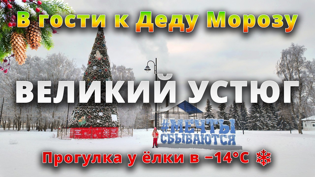 447 км по зимнему лесу 🌲❄️: где заправляться и как не встрять