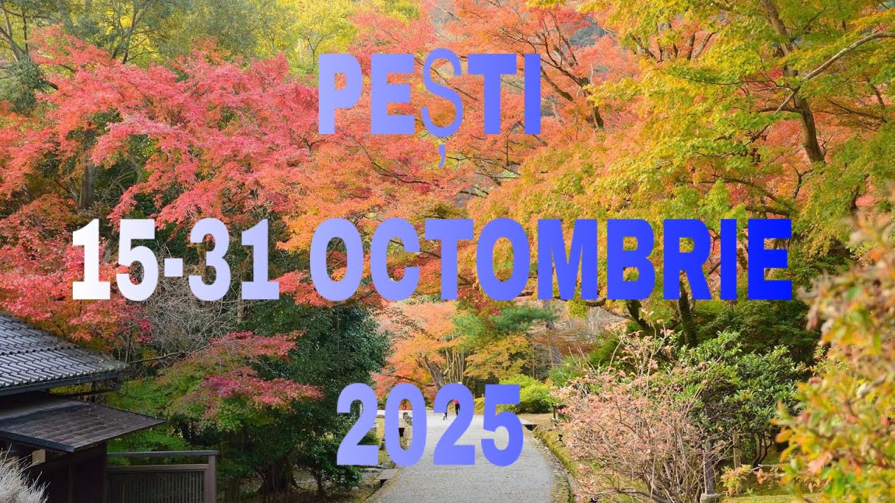PEȘTI♓️ÎNCEPUTURI PE CARE LE MERIȚI😇TE INTERESEAZĂ CASA ȘI FACI ALEGERI BUNE 🙌🪐🫶🏼🥰💐