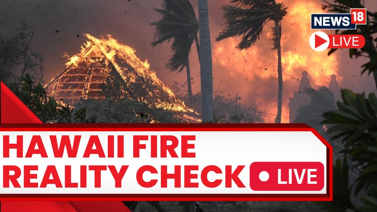 Maui Wildfire Live | Hawaii Wildfires 2023 | Maui Fires Today Live |  Maui Fires Death Toll Rises
