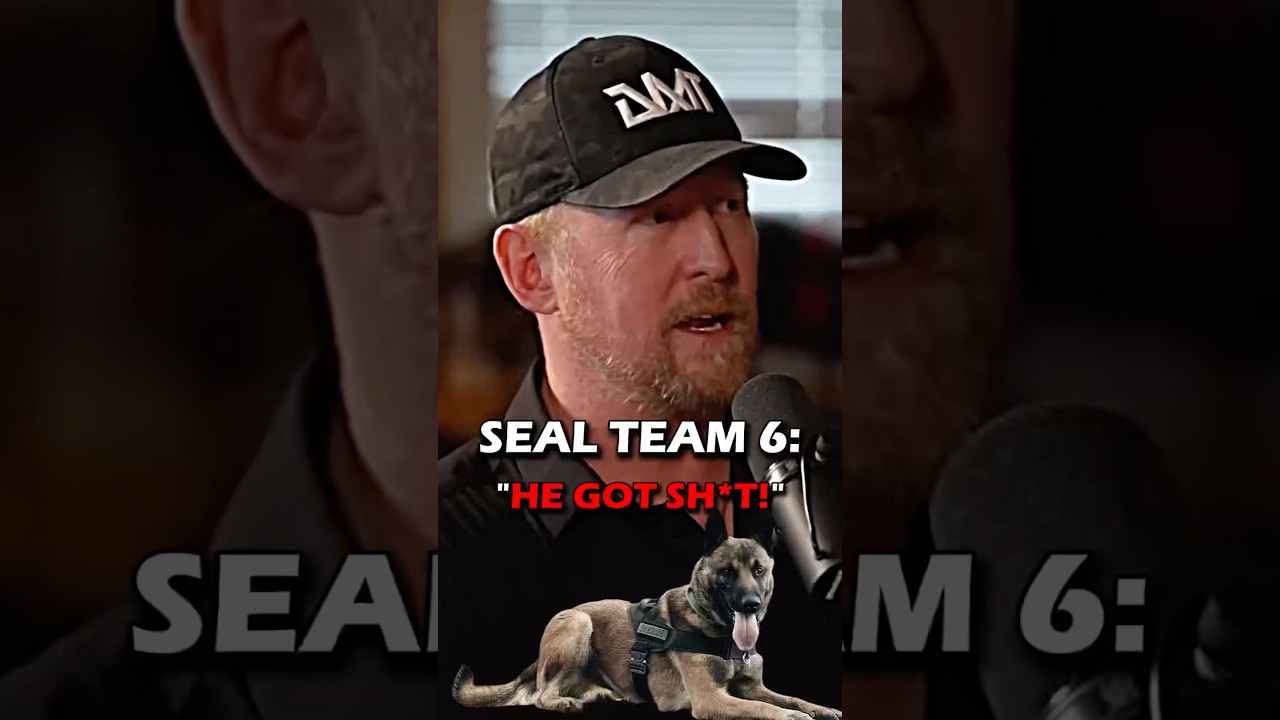 SEAL Team 6 Operator Recalls Saving His Dog