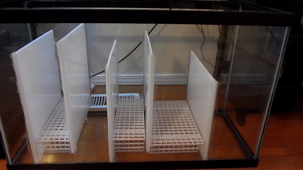 29 gal freshwater sump part 4, overview and a big issue.