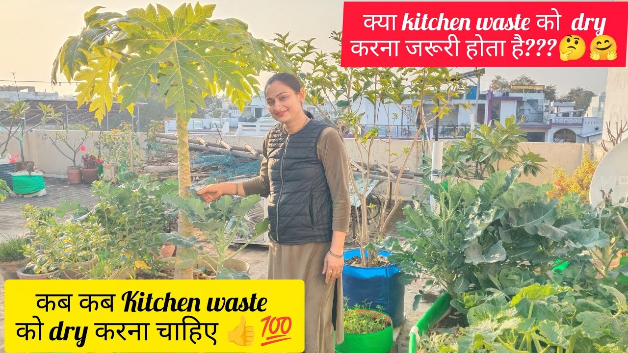 क्या kitchen waste को  dryकरना जरूरी होता है??🤔🤗/कब-कब kitchen waste को dry करना चाहिए??💯#gardening 