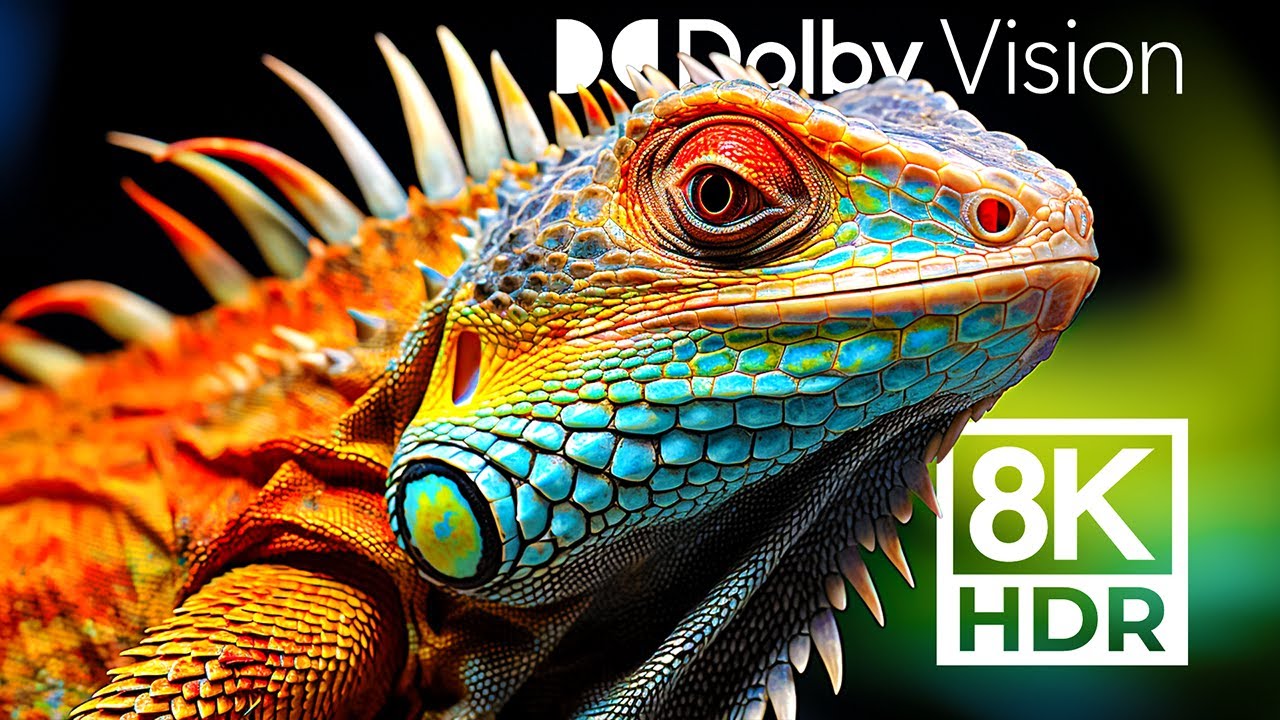 SHARPEST DOLBY VISION&trade; - MOST DETAILED ANIMALS 8K HDR
