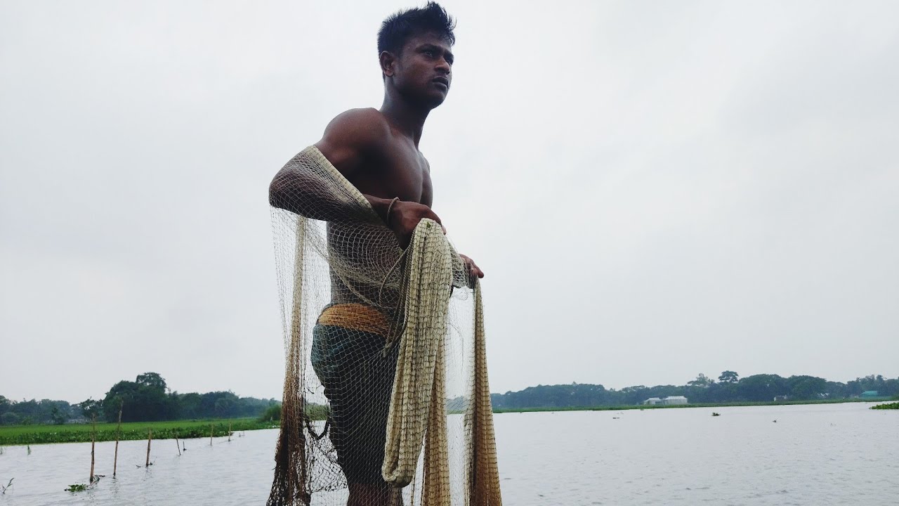 Amazing hand net fishing in the river |হাত জাল দিয়ে বিলে দেশি মাছ শিকার। ঝাঁকে ঝাঁকে দেশি পুটিমাছ।