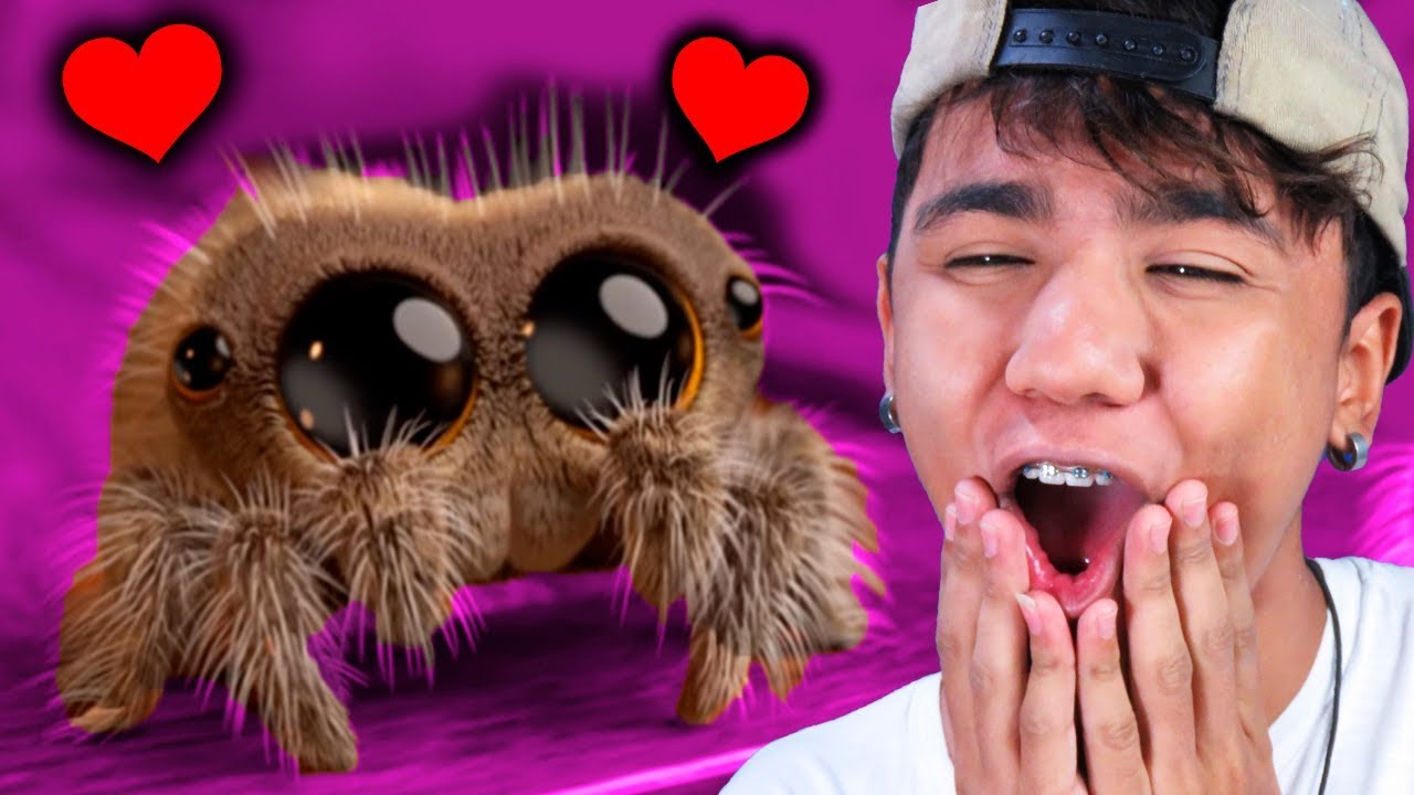 ESSA É A ANIMAÇÃO MAIS FOFA QUE VOCÊ VAI VER NA VIDA! LUCAS A ARANHA